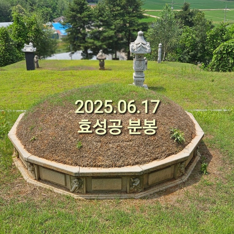fff20626775b88275b02d4b3134a3397_1766361624_0214.jpg
