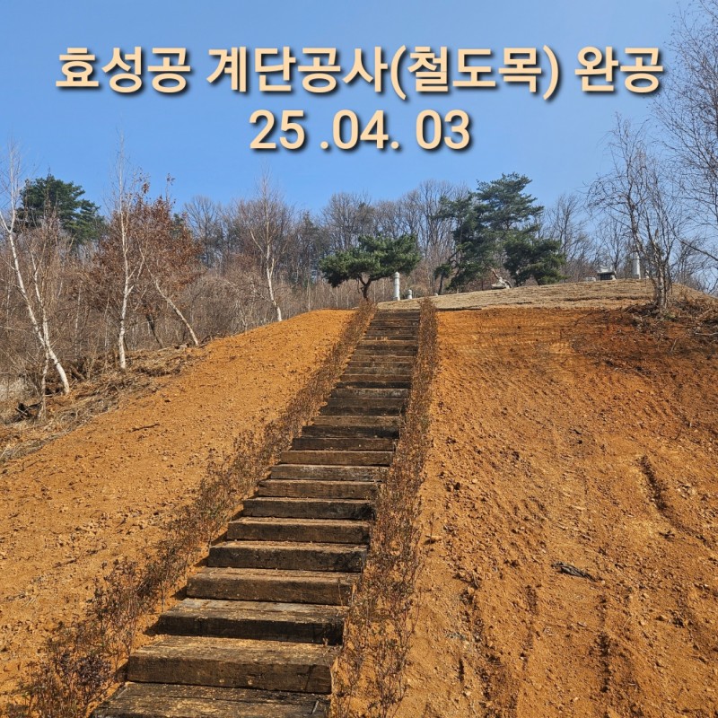 fff20626775b88275b02d4b3134a3397_1766361796_6007.jpg