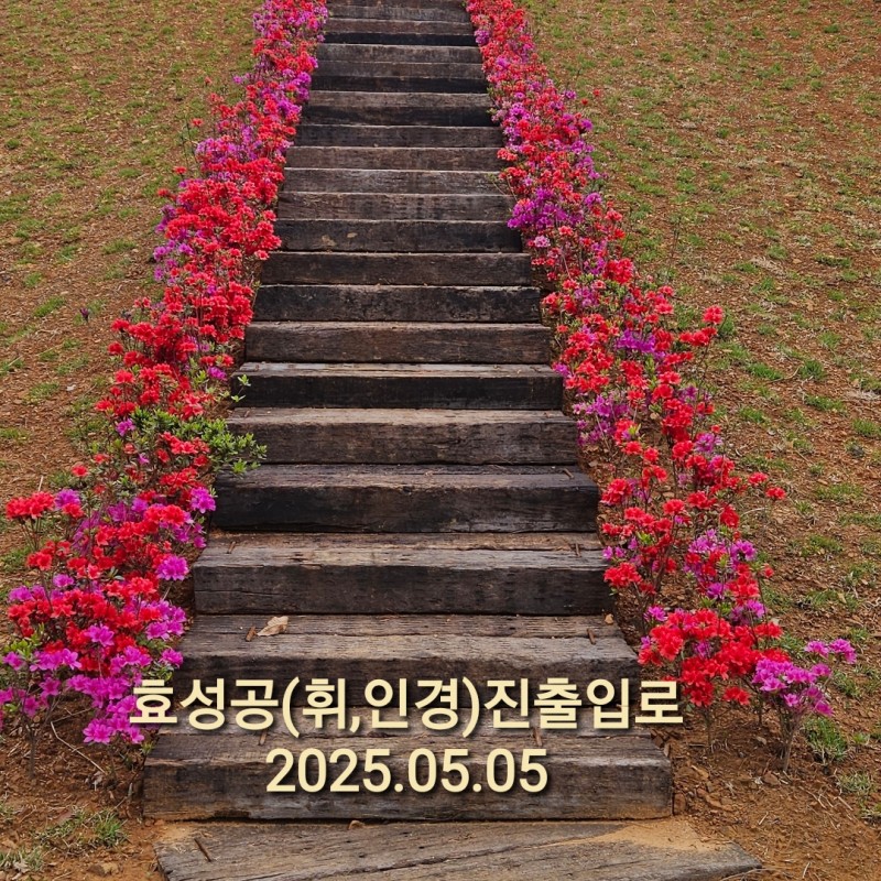 fff20626775b88275b02d4b3134a3397_1766361796_9127.jpg