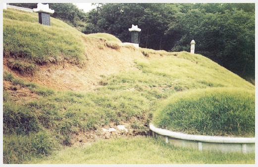 papyeongyun4_05-21a.jpg
